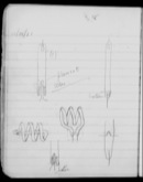 Edgerton Lab Notebook BB, Page 38